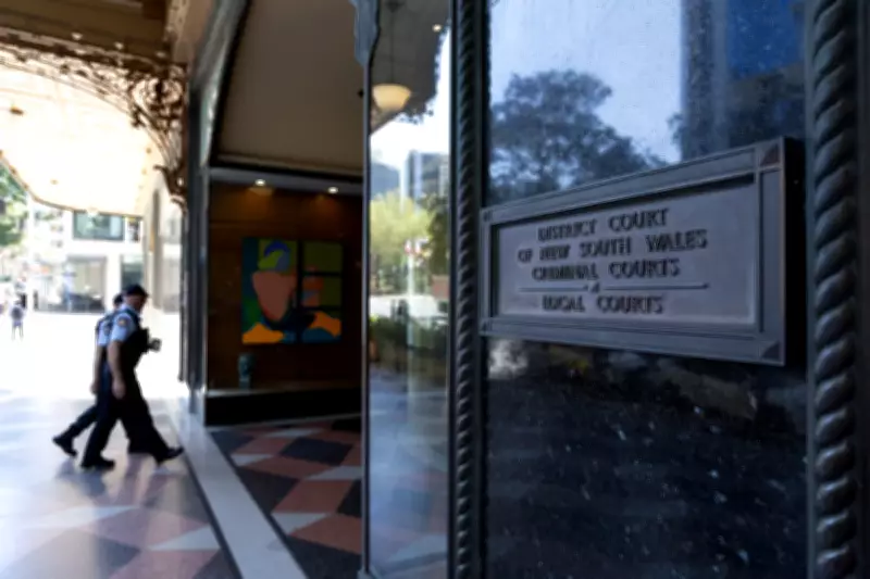 Police Drop Case Against Artist Over Nazi Symbol Satire, Court Awards Costs