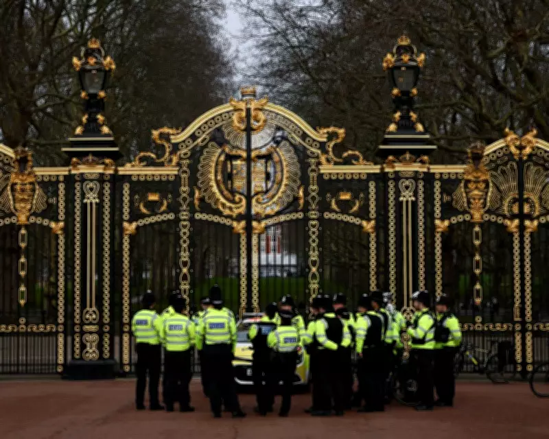 Police Investigation into Andrew: Too Little, Too Late