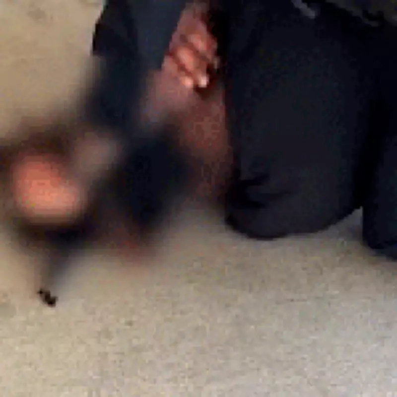 Police Officer Reassigned After Video Shows Her Striking High School Boy Multiple Times