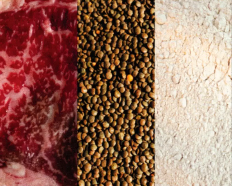 Pros and Cons of Popular Protein Sources: A Balanced Guide
