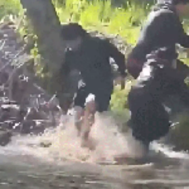 Rabid Beaver Bites Boy, 8; Family Throws Rodent Back Into Lake