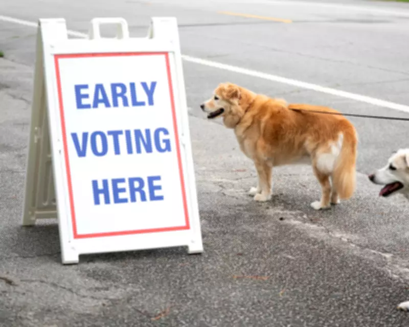 Ranked-Choice Voting Could Transform American Democracy