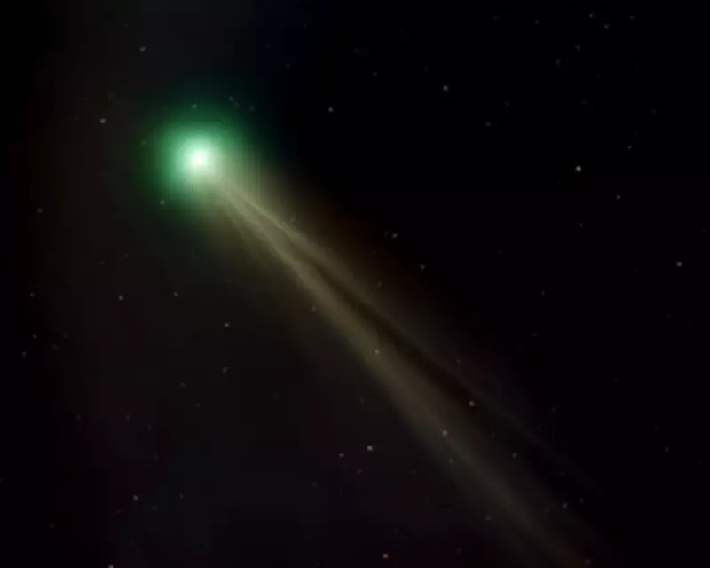 Rare Comet Spotted Over New Zealand Skies in Once-in-a-Lifetime Event