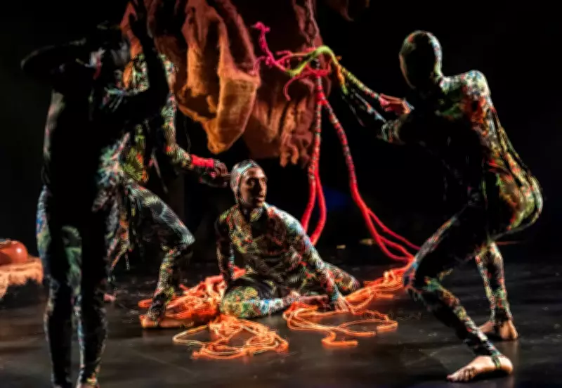 Return to the Forest: A Magical Museum Escape Immersive Show