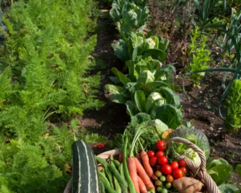 Revitalize Your Garden by Pretending You've Just Moved In