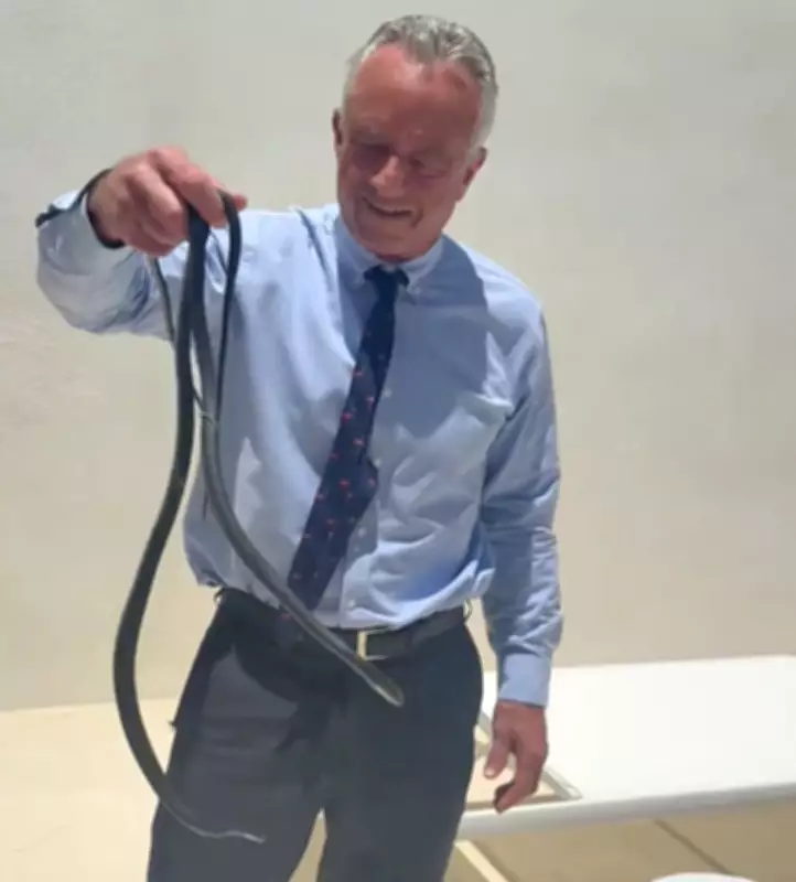 RFK Jr Wrestles Two Snakes in Florida Video, Gets Bitten