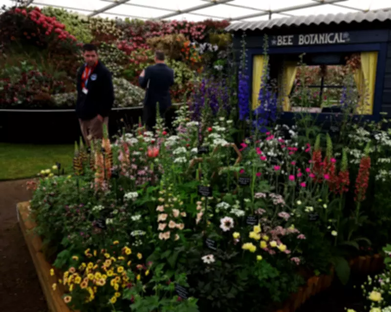 RHS Faces Conservative Backlash Over Peat-Free Compost and Sponsorships