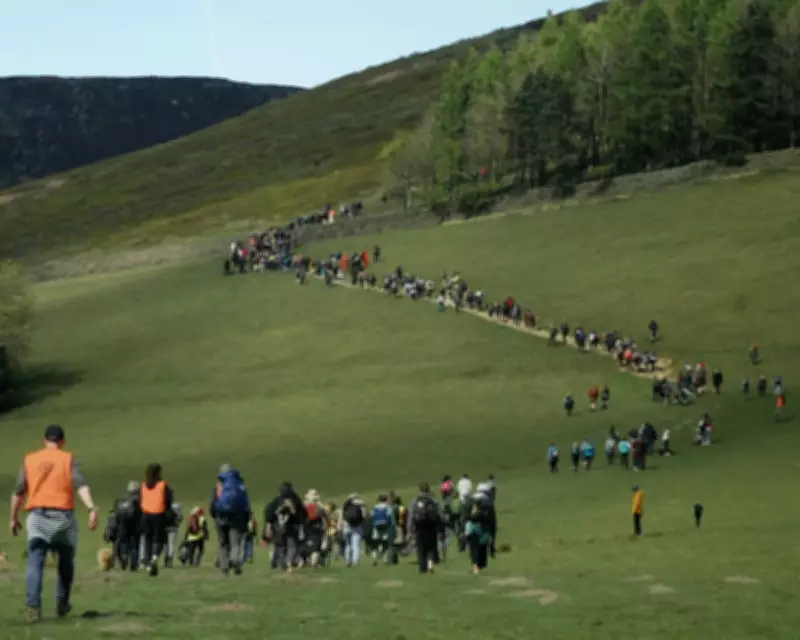 Right to Roam Movement Gains Momentum in England, Documentary Reveals