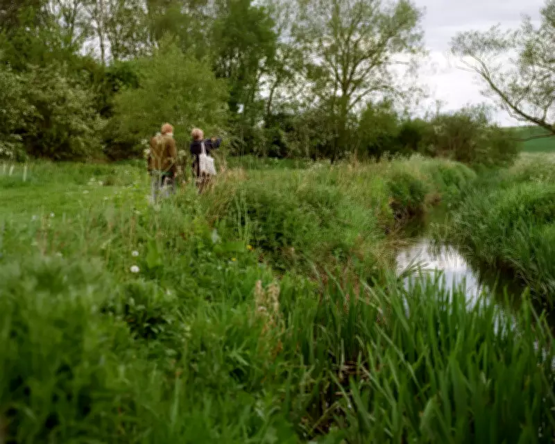 River Mease Restoration: From Straighted Waterway to Wildlife Haven
