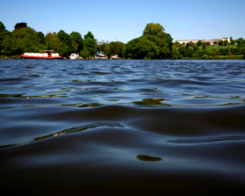 River Thames Gets First Official Bathing Spot in London