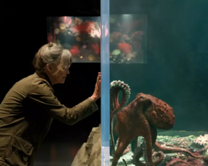 Sally Field Bonds with Octopus in Gentle Netflix Drama Remarkably Bright Creatures