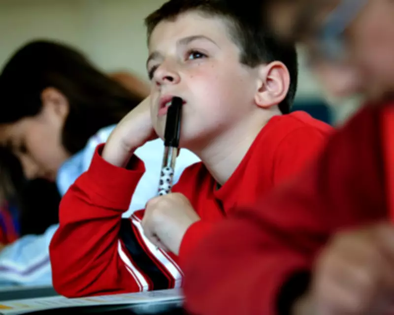 Sats Exams Reveal Parental Anxieties About AI and Education's Future