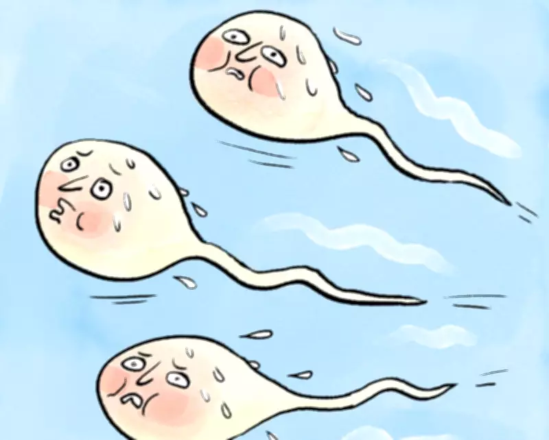 Saunas and Sperm Count: Separating Fact from Fertility Fiction