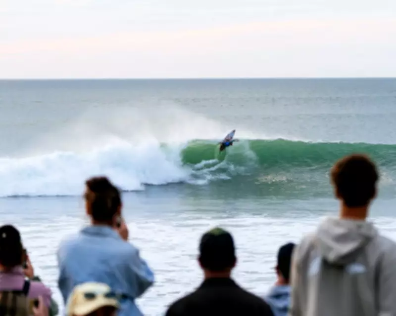 Shark or Sea Lion Bite Interrupts WSL Event in New Zealand