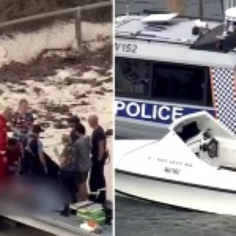 Spear Fisherman Dies in Shark Attack Off Australian Coast