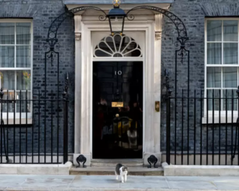 Starmer's Authority Crumbles Amid Labour Turmoil and Calls to Resign
