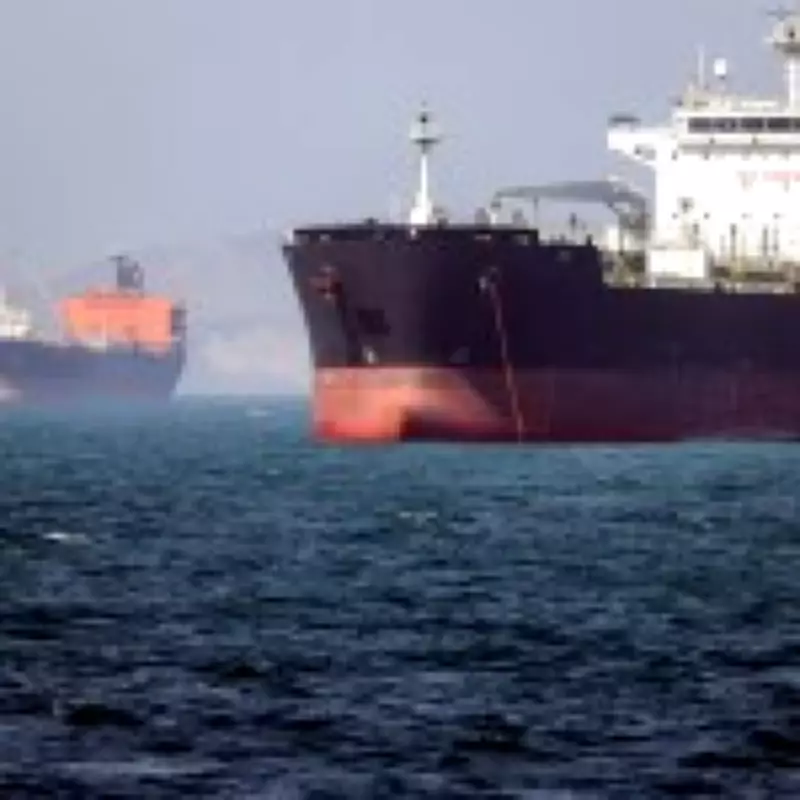 Strait of Hormuz Reopening Hope Grows After Trump Pauses Military Op