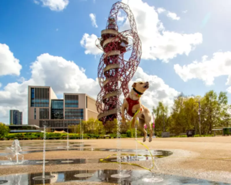 Stunning Readers' Photos: From London's Orbit to Venice's Histories