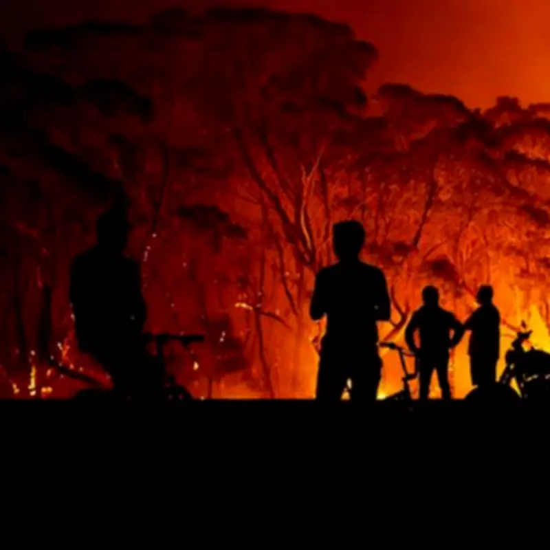 Super El Niño Could Bring Record Heat and UK Weather Chaos