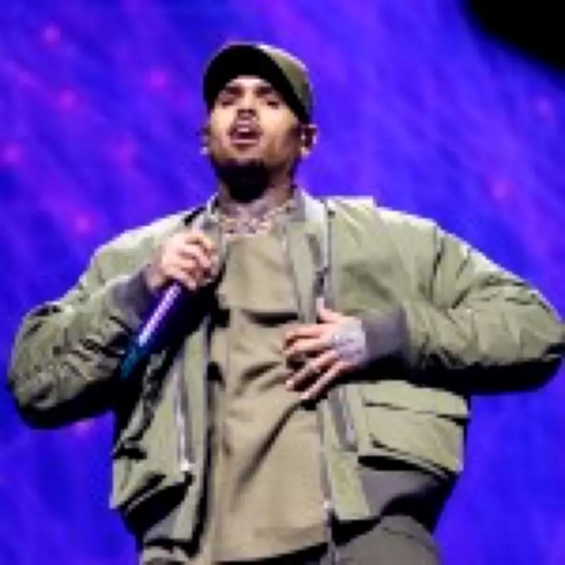 Suspect Arrested After Gunfire Outside Chris Brown's LA Home