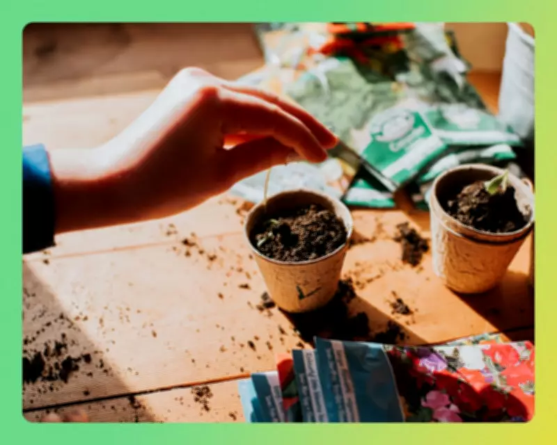 Sustainable Plant Shopping: Tips for Eco-Friendly Gardening This Spring