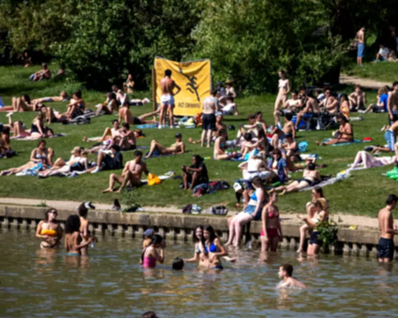 Swimmers Disturb Nesting Birds on Hampstead Heath Wildlife Pond