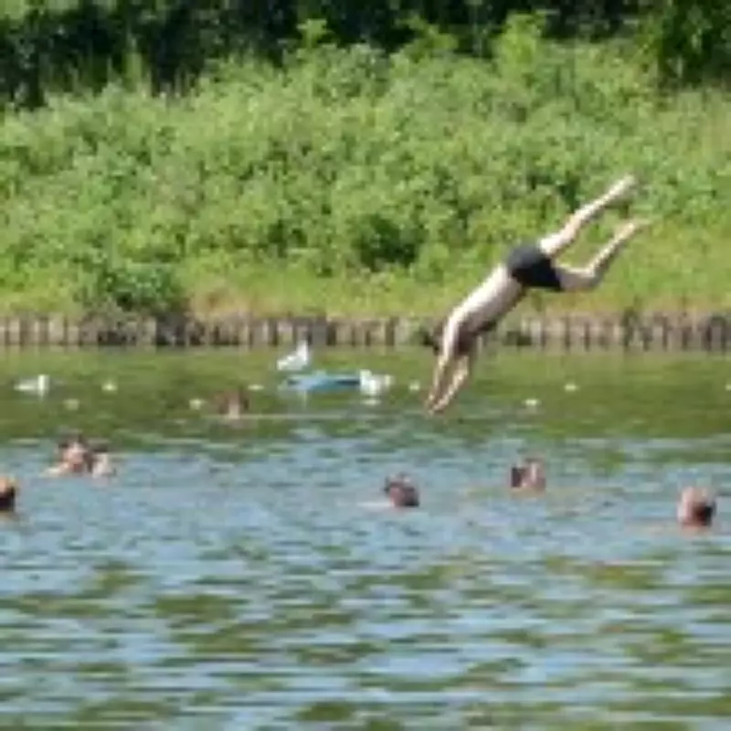 Swimmers Threaten Hampstead Heath Wildlife During Nesting Season