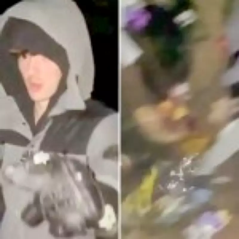 Teen Who Trashed Memorial to Boys Killed in Crash Sentenced to 300 Hours Unpaid Work