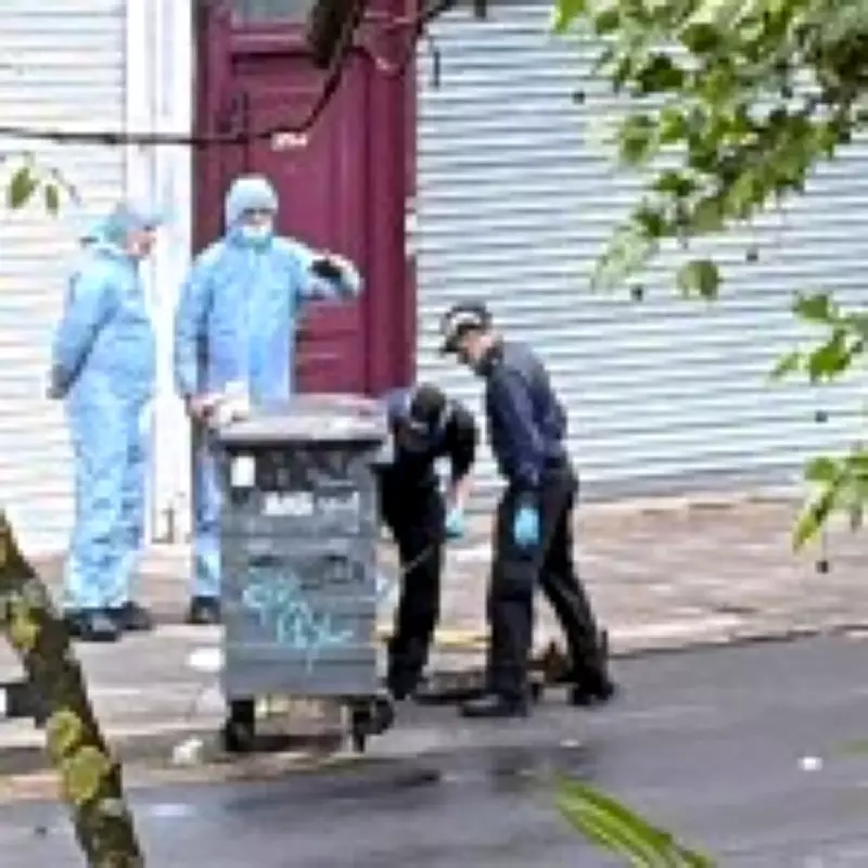 Teenager Recalls Horror of South London Drive-By BBQ Shooting