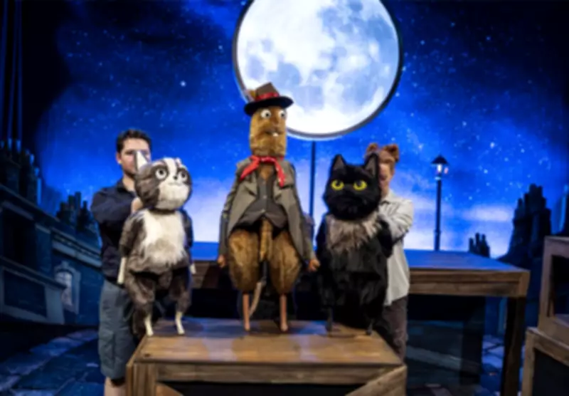 Theatre Roundup: Ninja Cats, Angry Brigades, and Austen Spoofs
