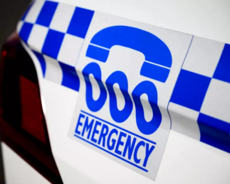 Three dead in south Sydney crash after man flees police welfare check