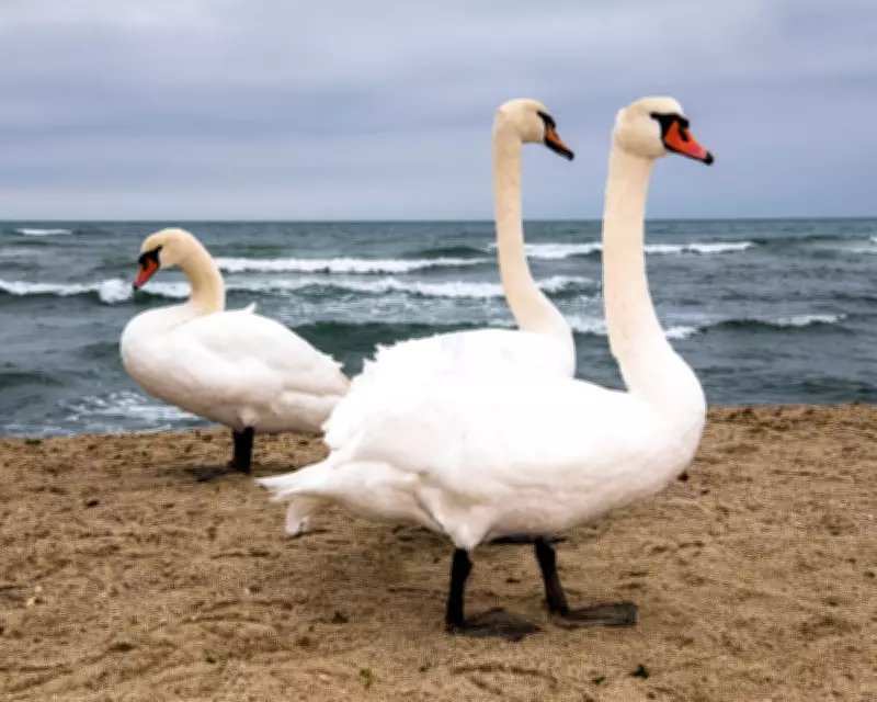 Three's a Crowd: How to Handle Disliking Your Friend's Partner