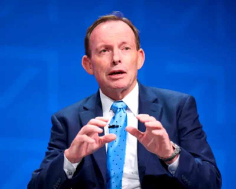 Tony Abbott to Become New Liberal Party President in Political Comeback