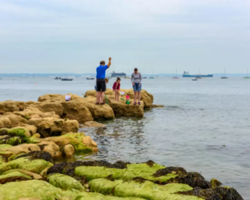 Toxic ‘Forever Chemicals’ Found at High Levels Off Southern England Coast