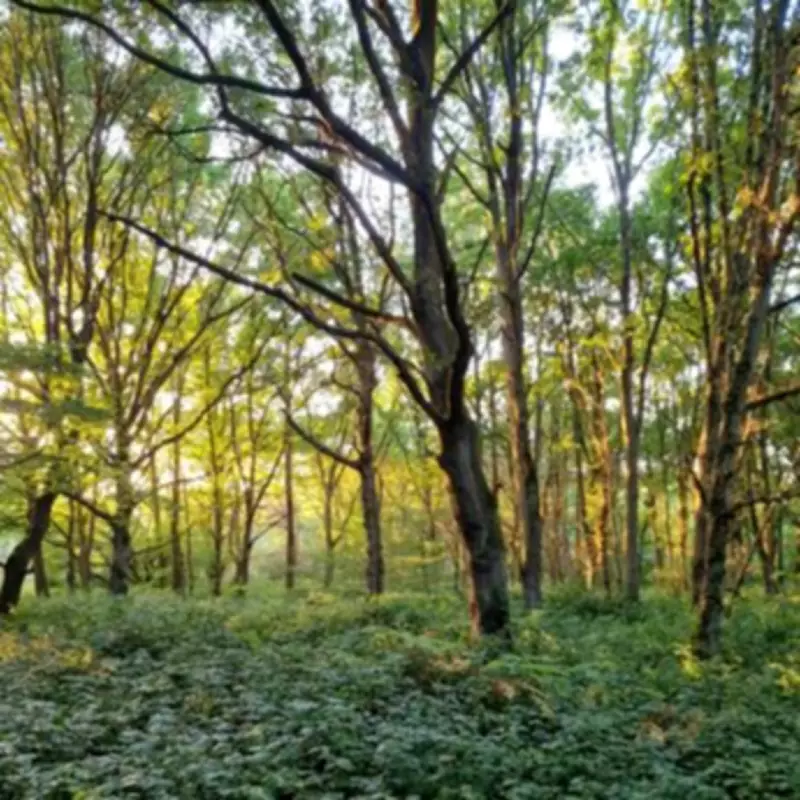 Trent Country Park: North London's Piccadilly Line Gem for Relaxed Walks