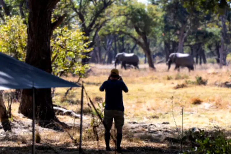 Trophy Hunting Ban Would Harm Conservation Efforts, Experts Warn