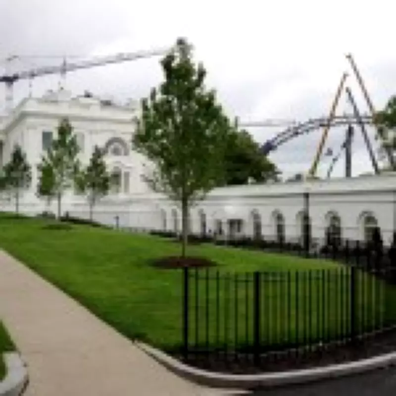Trump Begins Building UFC Ring Outside White House for Birthday Bout