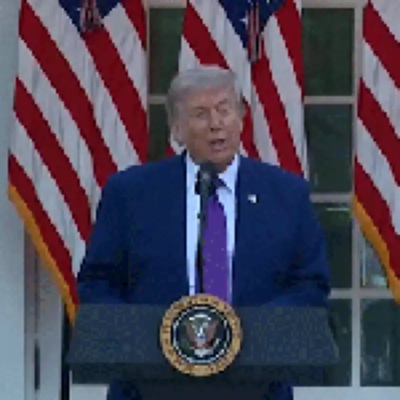 Trump Mistakes Bird for Drone Attack on White House, Says 'Uh-Oh'
