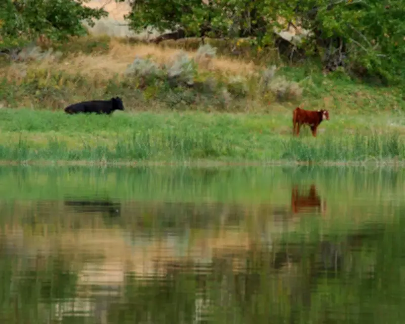 Trump Officials Cancel Rule Elevating Conservation on Public Lands