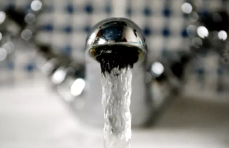 Trump Officials Plan to Repeal Limits on 'Forever Chemicals' in Drinking Water
