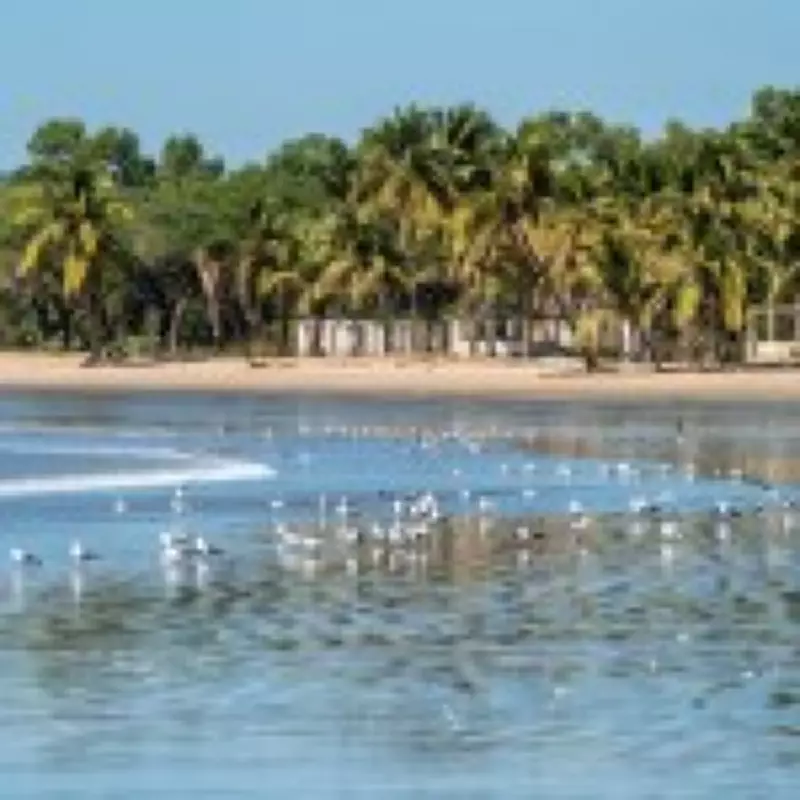 TUI Launches Direct Flights from Birmingham to The Gambia for Winter Sun