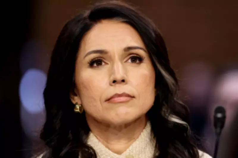 Tulsi Gabbard's Anti-War Stance Led to Her Ouster as Intelligence Chief