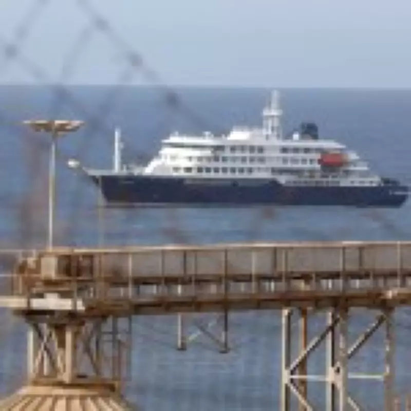 Two Britons Self-Isolate After Hantavirus Cruise Return