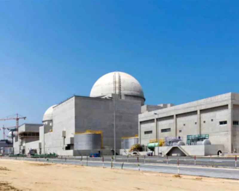 UAE Blames Iran or Proxies for Drone Strike Fire Near Nuclear Plant