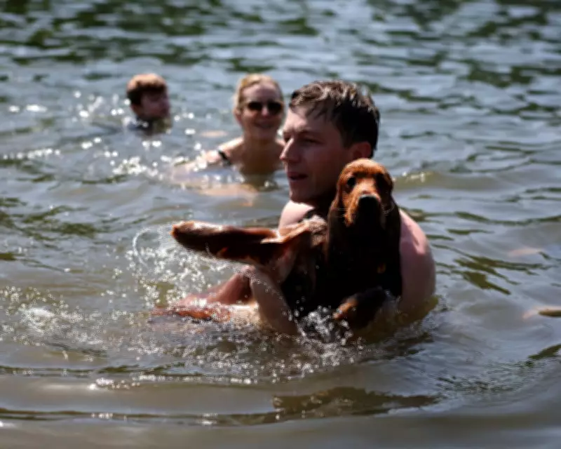 UK Breaks May Temperature Record as Heatwave Sweeps Europe