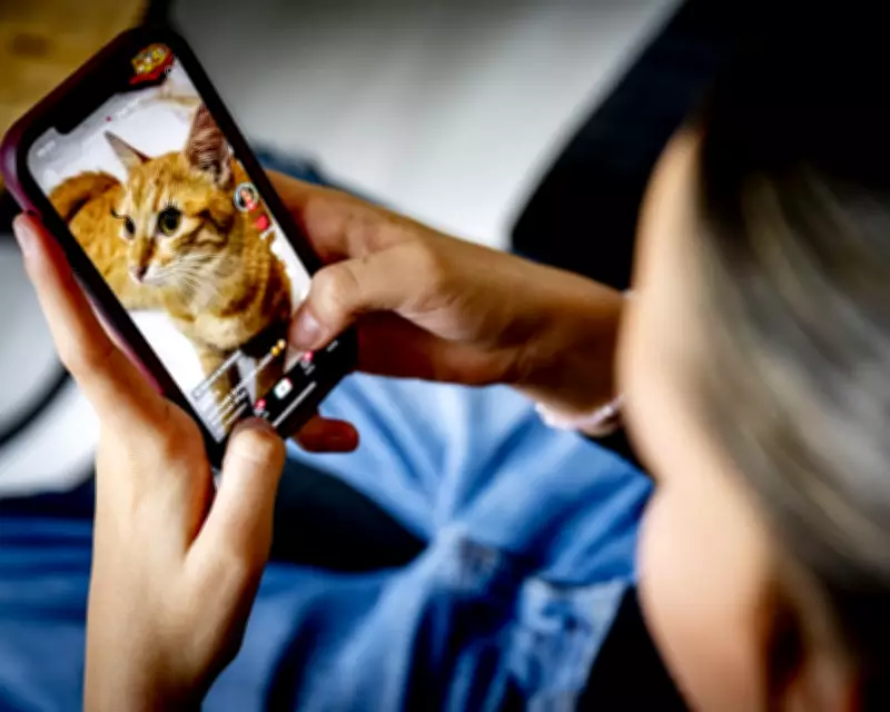 UK Campaigners Urge Starmer to Ban Unsafe Social Media for Under-16s