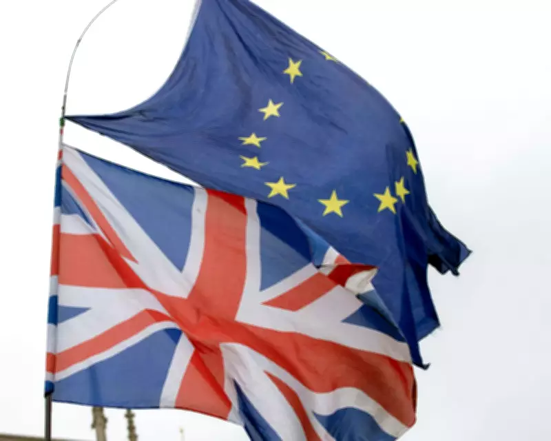 UK Proposed EU Single Market for Goods, But Idea Was Rejected