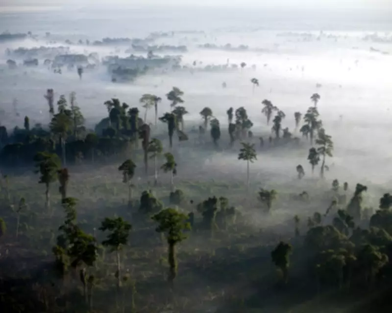 UK Slashes Darwin Initiative Funding, 89 Nations Lose Biodiversity Support