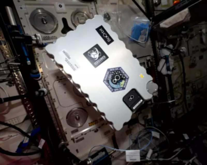 UK Startup BioOrbit Sends Drug Crystallization Tech to ISS for Self-Injected Cancer Treatments
