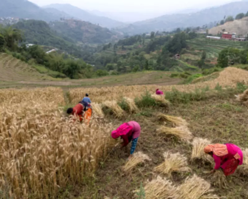UK Urges Global Action to Free Up Fertiliser Supplies to Avert Food Crisis